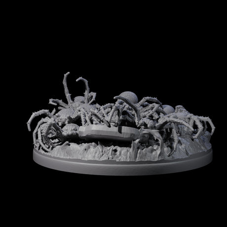 Grim Spider Swarm C Miniature for Dungeons and Dragons, Pathfinder or other TTRPGs