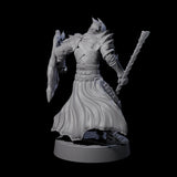 Grimacing Elf Spearman A Miniature for Dungeons and Dragons, Pathfinder or other TTRPGs