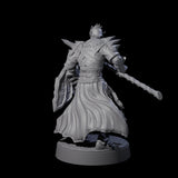 Grimacing Elf Spearman C Miniature for Dungeons and Dragons, Pathfinder or other TTRPGs