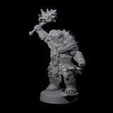 Grizzled Tortle Chief Miniature for Dungeons and Dragons, Pathfinder or other TTRPGs