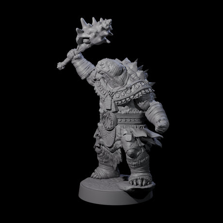 Grizzled Tortle Chief Miniature for Dungeons and Dragons, Pathfinder or other TTRPGs