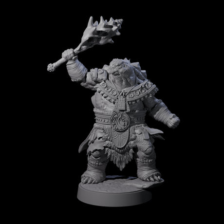 Grizzled Tortle Chief Miniature for Dungeons and Dragons, Pathfinder or other TTRPGs