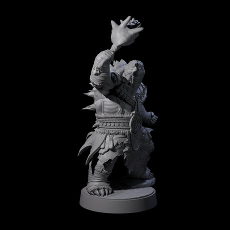 Grizzled Tortle Chief Miniature for Dungeons and Dragons, Pathfinder or other TTRPGs