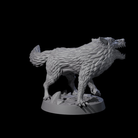 Growling Wolf A Miniature for Dungeons and Dragons, Pathfinder or other TTRPGs