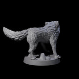 Growling Wolf A Miniature for Dungeons and Dragons, Pathfinder or other TTRPGs