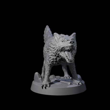 Growling Wolf B Miniature for Dungeons and Dragons, Pathfinder or other TTRPGs