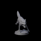Growling Wolf C Miniature for Dungeons and Dragons, Pathfinder or other TTRPGs