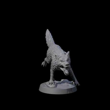 Growling Wolf C Miniature for Dungeons and Dragons, Pathfinder or other TTRPGs