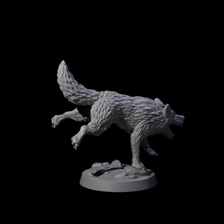 Growling Wolf C Miniature for Dungeons and Dragons, Pathfinder or other TTRPGs