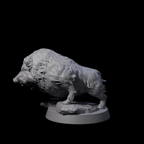 Gruff Wild Boar Miniature for Dungeons and Dragons, Pathfinder or other TTRPGs