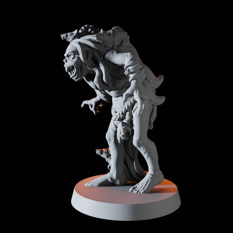 Hag C Miniature for Dungeons and Dragons, Pathfinder or other TTRPGs