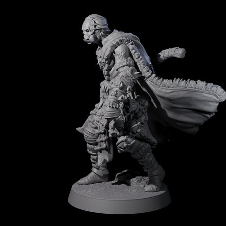 Half Masked Berserker A Miniature for Dungeons and Dragons, Pathfinder or other TTRPGs