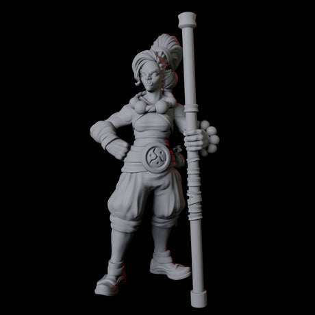 Half Orc Monk A Miniature for Dungeons and Dragons, Pathfinder or other TTRPGs