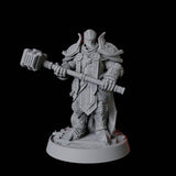 Heavy Armour Paladin Miniature for Dungeons and Dragons, Pathfinder or other TTRPGs