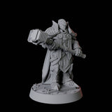 Heavy Armour Paladin Miniature for Dungeons and Dragons, Pathfinder or other TTRPGs