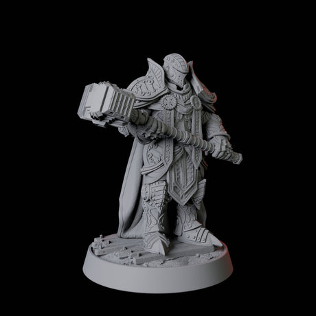 Heavy Armour Paladin Miniature for Dungeons and Dragons, Pathfinder or other TTRPGs