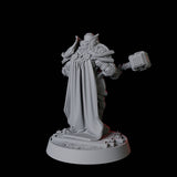 Heavy Armour Paladin Miniature for Dungeons and Dragons, Pathfinder or other TTRPGs