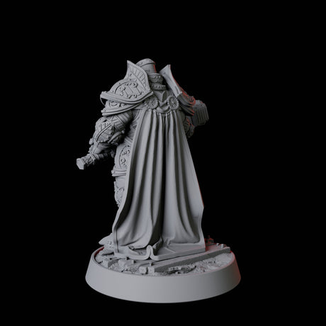 Heavy Armour Paladin Miniature for Dungeons and Dragons, Pathfinder or other TTRPGs