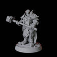 Heavy Armour Paladin Miniature for Dungeons and Dragons, Pathfinder or other TTRPGs