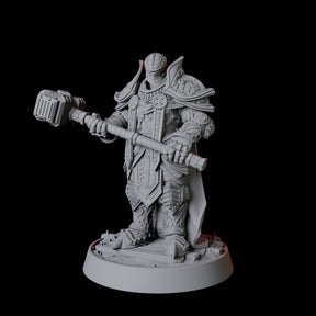 Heavy Armour Paladin Miniature for Dungeons and Dragons, Pathfinder or other TTRPGs