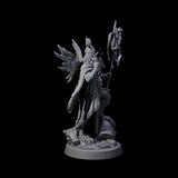 Herald Human Cleric Miniature for Dungeons and Dragons, Pathfinder or other TTRPGs