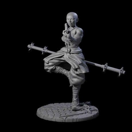 Herklia - Poised Calm Monk Miniature for Dungeons and Dragons, Pathfinder or other TTRPGs