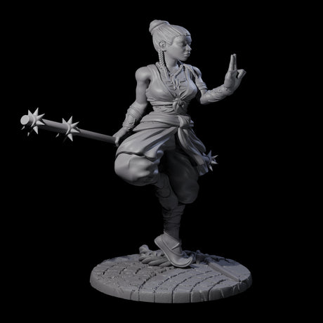 Herklia - Poised Calm Monk Miniature for Dungeons and Dragons, Pathfinder or other TTRPGs