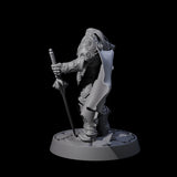 Holy Protector of the Flames B Miniature for Dungeons and Dragons, Pathfinder or other TTRPGs