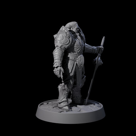 Holy Protector of the Flames B Miniature for Dungeons and Dragons, Pathfinder or other TTRPGs