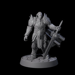Holy Protector of the Flames B Miniature for Dungeons and Dragons, Pathfinder or other TTRPGs