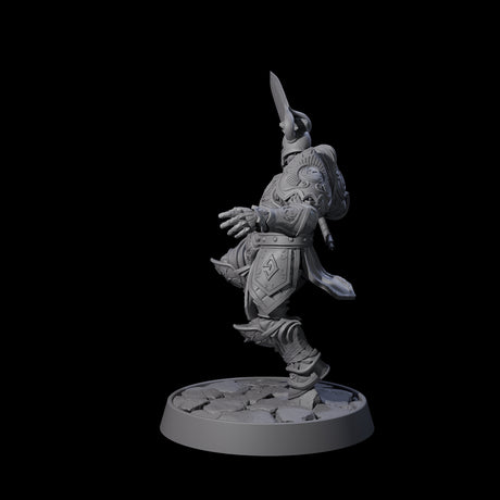 Holy Protector of the Flames D Miniature for Dungeons and Dragons, Pathfinder or other TTRPGs