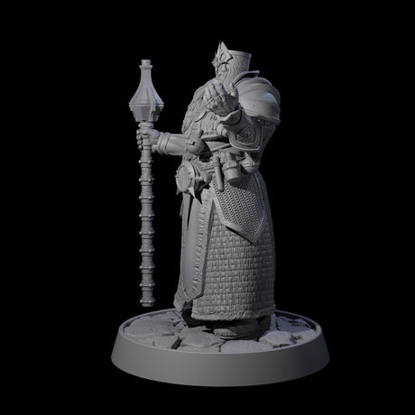 Holy Protector of the Flames F Miniature for Dungeons and Dragons, Pathfinder or other TTRPGs