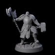 Holy Protector of the Flames H Miniature for Dungeons and Dragons, Pathfinder or other TTRPGs