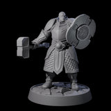 Holy Protector of the Flames I Miniature for Dungeons and Dragons, Pathfinder or other TTRPGs
