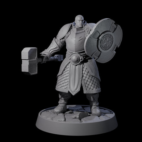 Holy Protector of the Flames I Miniature for Dungeons and Dragons, Pathfinder or other TTRPGs