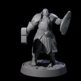 Holy Protector of the Flames I Miniature for Dungeons and Dragons, Pathfinder or other TTRPGs
