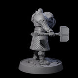 Holy Protector of the Flames I Miniature for Dungeons and Dragons, Pathfinder or other TTRPGs