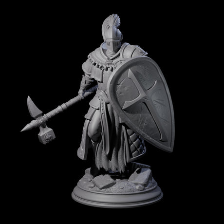Holy Stalwart Human Paladin Miniature for Dungeons and Dragons, Pathfinder or other TTRPGs