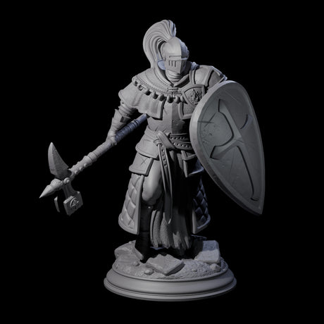 Holy Stalwart Human Paladin Miniature for Dungeons and Dragons, Pathfinder or other TTRPGs
