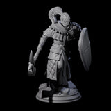 Holy Stalwart Human Paladin Miniature for Dungeons and Dragons, Pathfinder or other TTRPGs