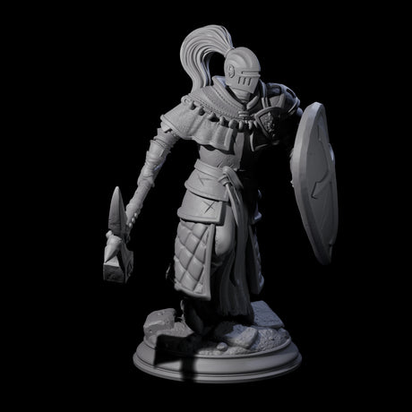 Holy Stalwart Human Paladin Miniature for Dungeons and Dragons, Pathfinder or other TTRPGs