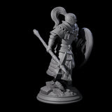 Holy Stalwart Human Paladin Miniature for Dungeons and Dragons, Pathfinder or other TTRPGs