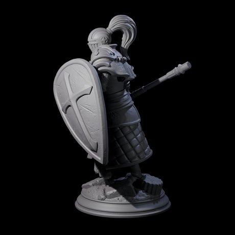 Holy Stalwart Human Paladin Miniature for Dungeons and Dragons, Pathfinder or other TTRPGs