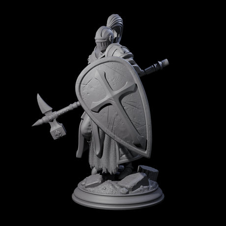 Holy Stalwart Human Paladin Miniature for Dungeons and Dragons, Pathfinder or other TTRPGs