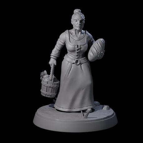 Honest Village Woman D Miniature for Dungeons and Dragons, Pathfinder or other TTRPGs