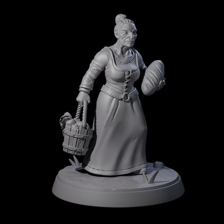 Honest Village Woman D Miniature for Dungeons and Dragons, Pathfinder or other TTRPGs