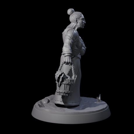 Honest Village Woman D Miniature for Dungeons and Dragons, Pathfinder or other TTRPGs