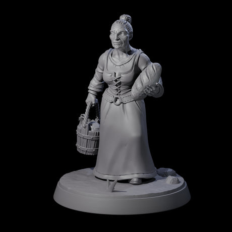 Honest Village Woman D Miniature for Dungeons and Dragons, Pathfinder or other TTRPGs