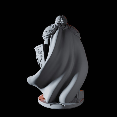 Human Paladin Miniature for Dungeons and Dragons, Pathfinder or other TTRPGs