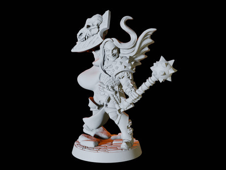 Human Paladin Miniature for Dungeons and Dragons, Pathfinder or other TTRPGs